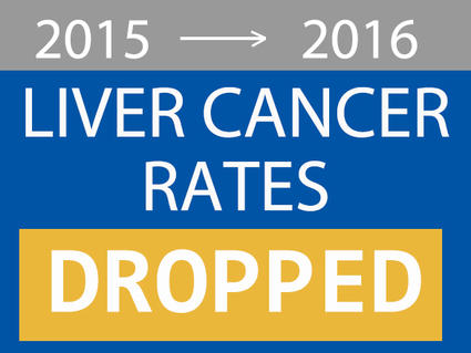 Factoid describing 2015 to 2016, liver cancer rates dropped 4%.