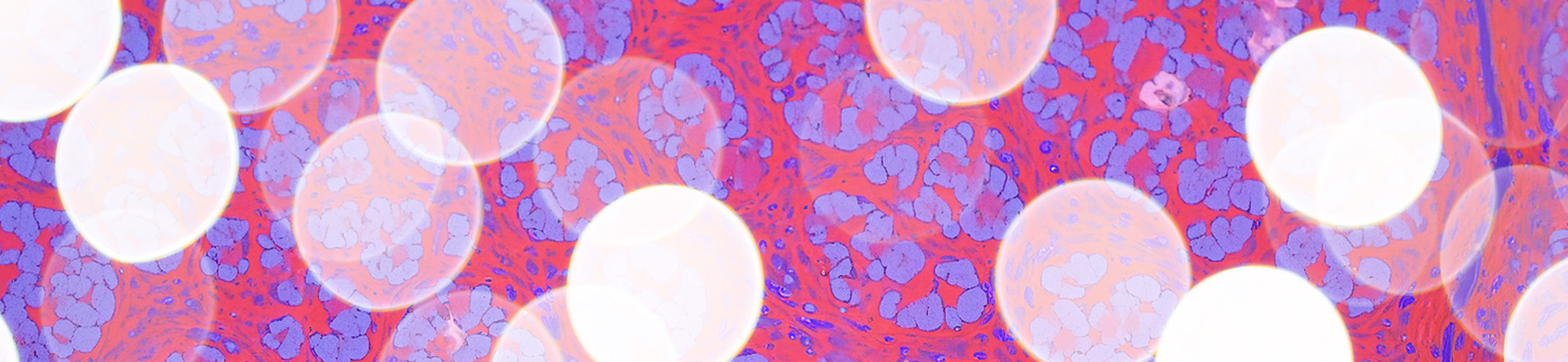 Abstract radiologic, microscopic image of computational pathology 