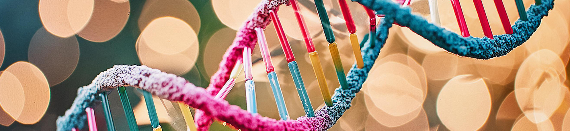 3D, blue and pink rendering of a double helix DNA strand with on a bright background   