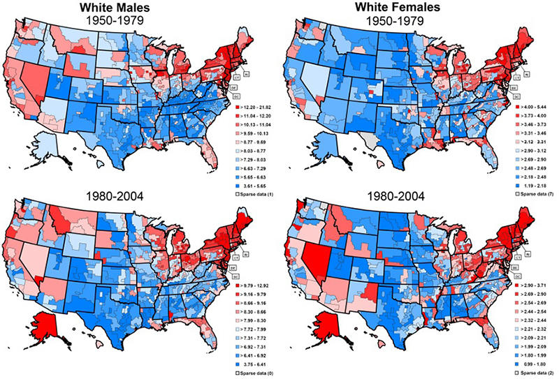 Four U.S. maps illustrating regional trends in bladder cancer mortality rates for white males and females between 1950-1979 and 1980-2004. Red areas indicate higher mortality rates, while blue areas indicate lower rates.