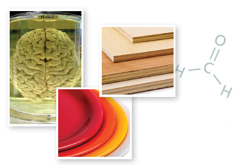 The image is a collage featuring three distinct items and a chemical structure. On the left, a preserved brain is displayed in a jar; next to that, there are stacked sheets of plywood or particle board. Below those two images, colorful plastic plates are stacked together. To the right, a chemical structure of formaldehyde is depicted, with the formula HCHO. 