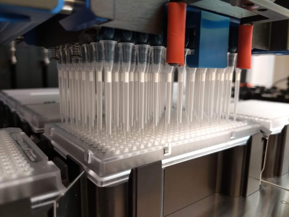 Automated liquid-handling robots carryout high-throughput sample processing