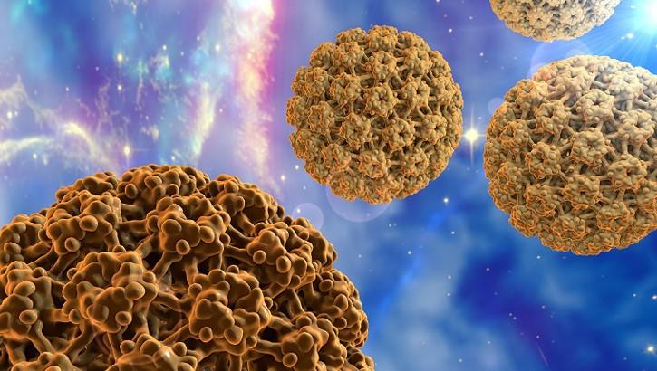 Image of HPV16