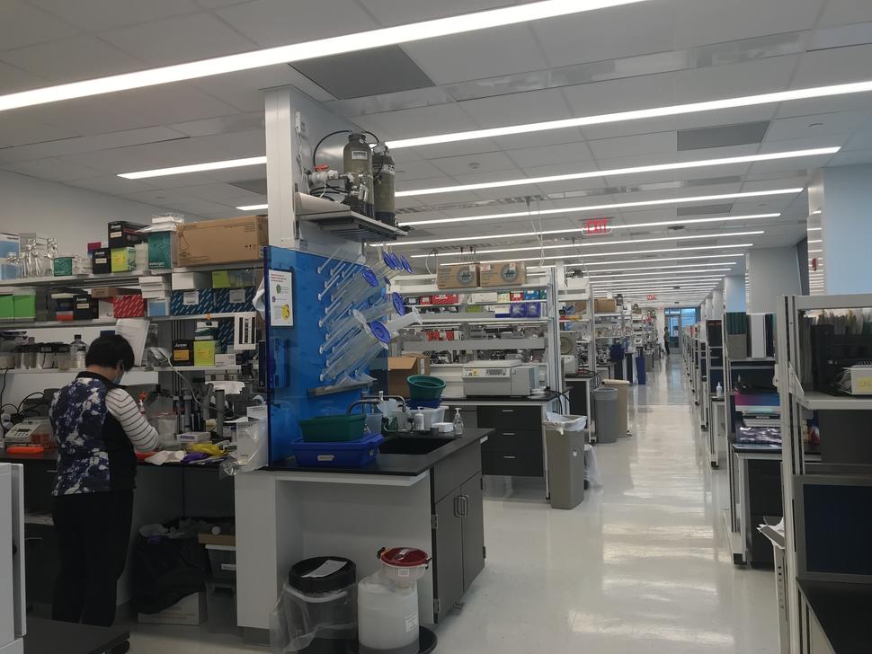 Biologist works at a lab bench in the open-plan layout of the new facilities of&nbsp;LTG.