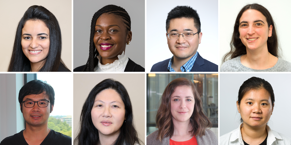 2020 DCEG Fellows Award for Research Excellence winners: Rotana Alsaggaf, Eboneé Butler, Justin Han, Rebecca Landy, Zhiwei Liu, Leatrisse Oba, Cody Ramin, and Zeni Wu