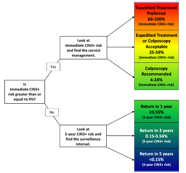Enduring Guidelines graphic showing the process for immediate CIN3+ risk greater than or equal to 4%