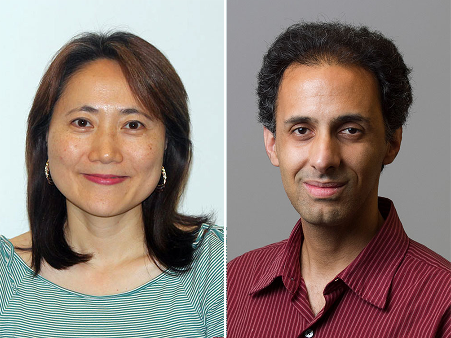 Images of Jiyeon Choi and Hormuzd Katki