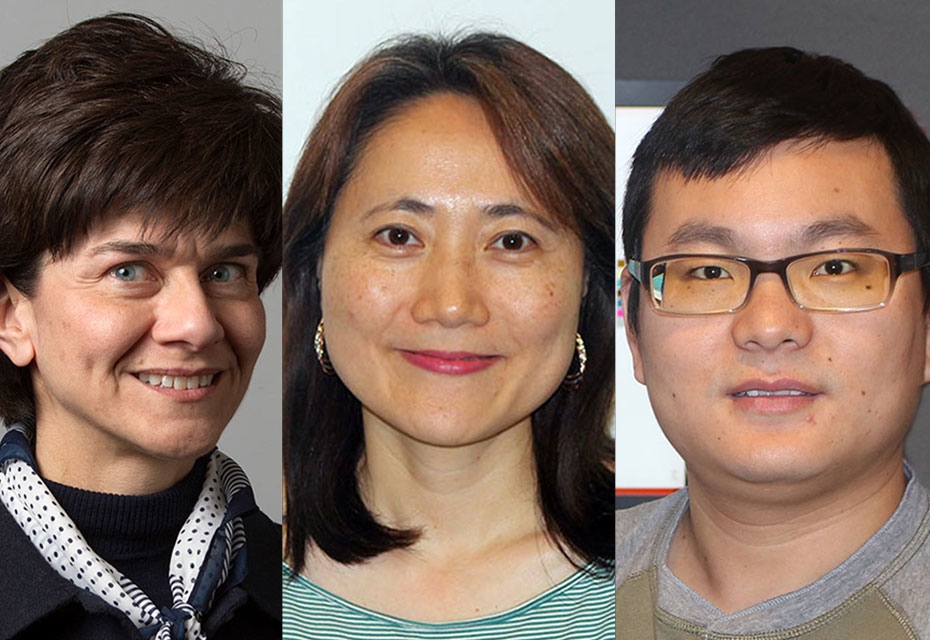 MT Landi, Jiyeon Choi, Tongwu Zhang