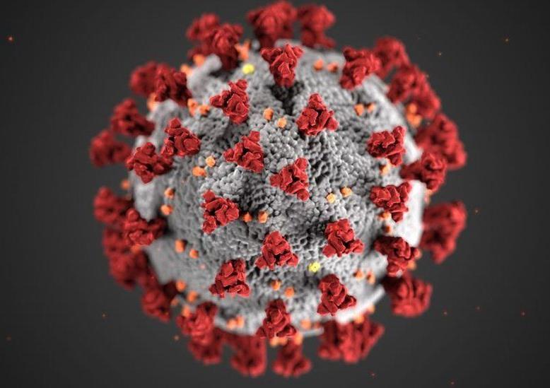 Image of sars-cov-2 virus