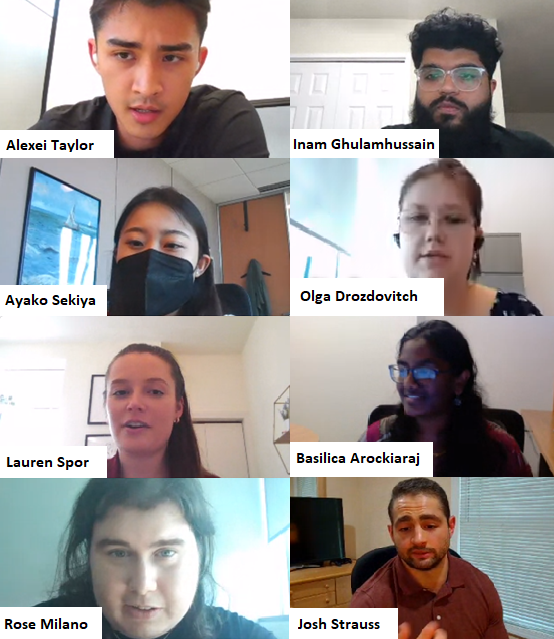 Zoom screenshot of interns who met virtually: Alexei Taylor, Inam Ghulamhussain, Ayako Sekiya, Olga Drozdovitch, Lauren Spor, Basilica Arockiaraj, Rose Milano, Josh Strauss 