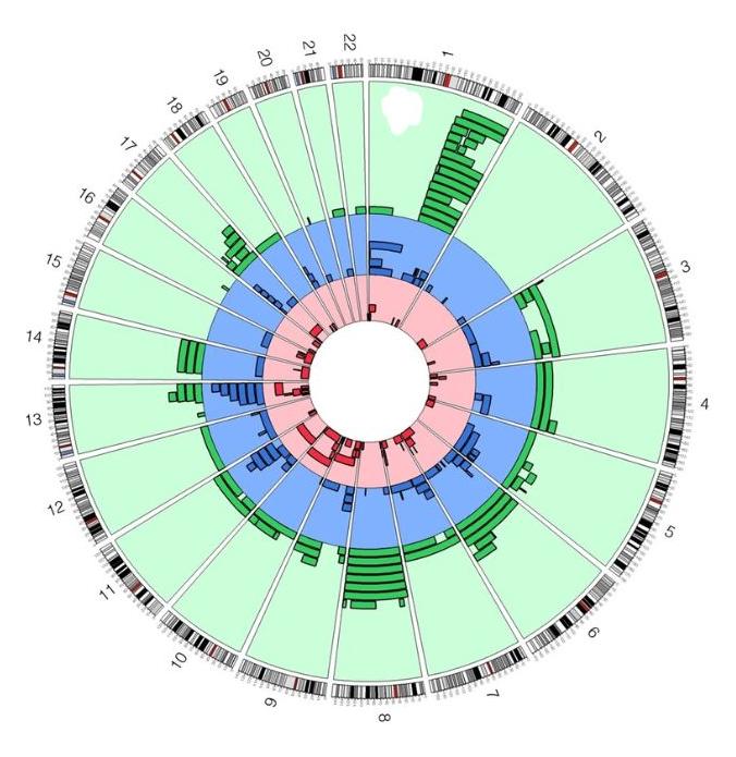 mCAs in Burkitt lymphoma cases
