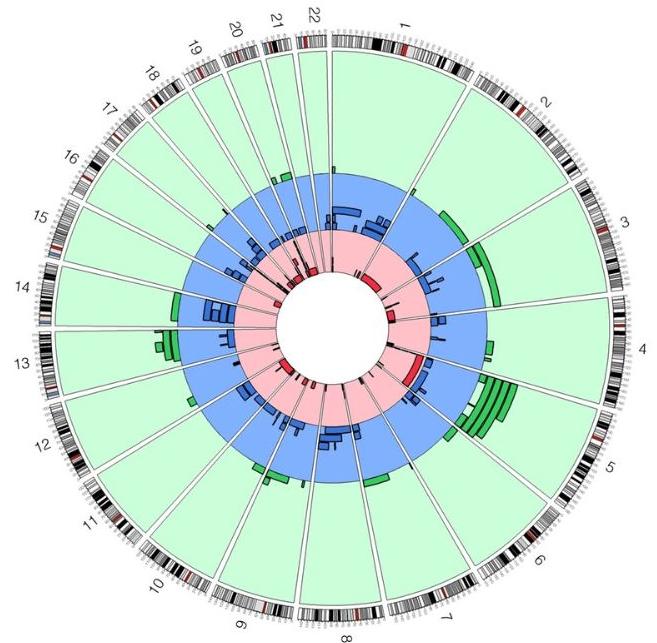 Circos plot of mCAs in children without Burkitt lymphoma