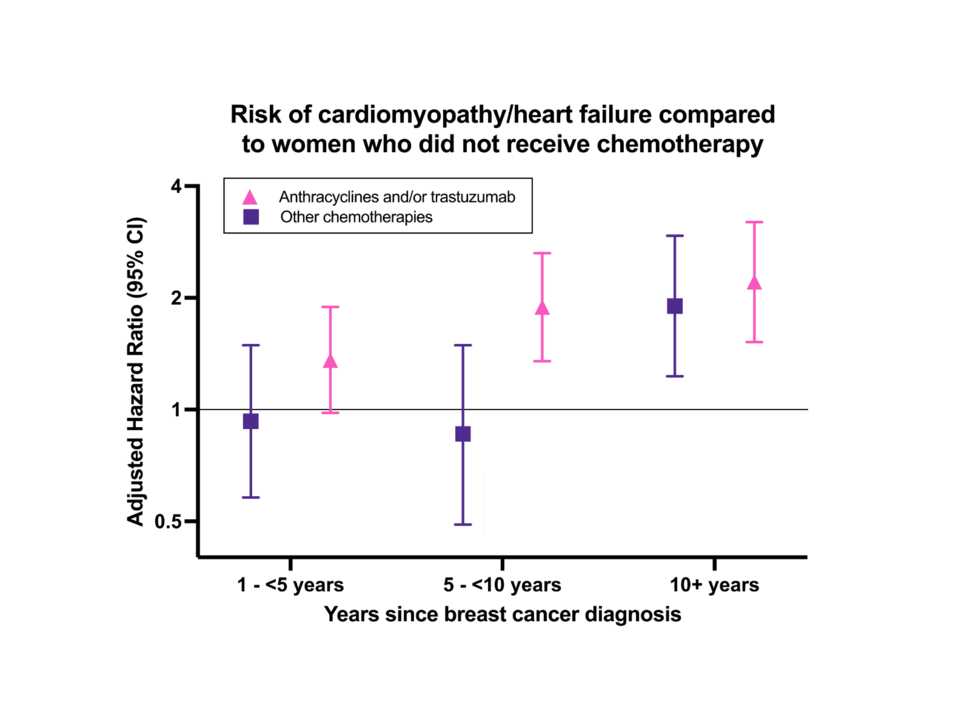 Graph showing the risk of cardiomyopathy/heart failure in the years since breast cancer diagnosis for patients that received anthracyclines and/or trastuzumab or other chemotherapies compared to those who did not receive chemotherapy. Those who received anthracyclines and/or trastuzumab had increased risk of cardiomyopathy/heart failure at 1-5 years, 5-10 years, and 10+ years since breast cancer diagnosis.