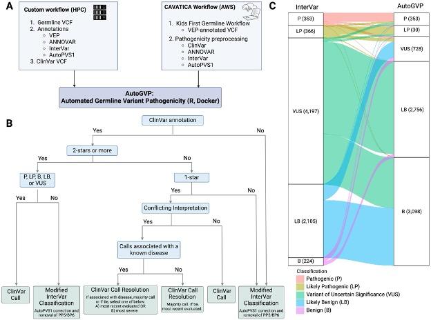Flow diagram of AutoGVP. (A) Required input files for custom or CAVATICA workflow. (B) Variant classification method decision tree. (C) Alluvial plot showing how InterVar classification changes in AutoGVP.
