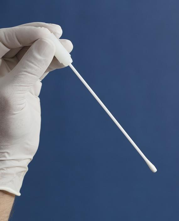 Gloved hand holding a medical swab