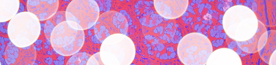 Abstract radiologic, microscopic image of computational pathology