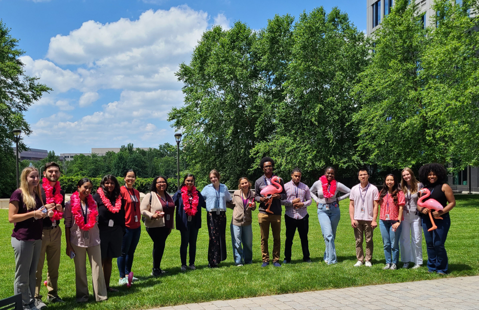 Summer interns enjoy the Flamingle, a flamingo themed social gathering.