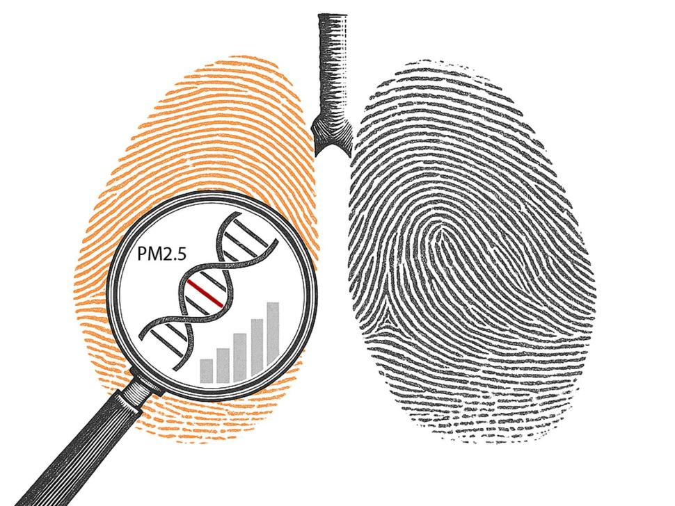 graphic depicting lungs with a magnifying glass that reveals PM 2.5, DNA, and a bar chart
