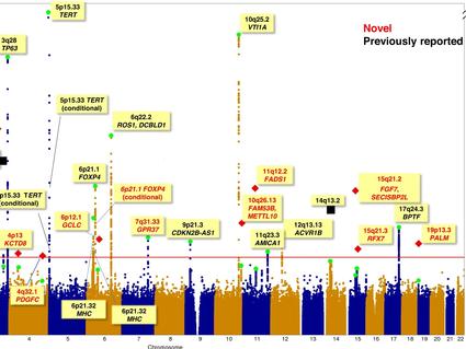A Manhattan plot showing GWAS meta-analysis of lung adenocarcinoma in East Asians.