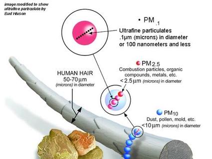 schematic showing the size of various small particles