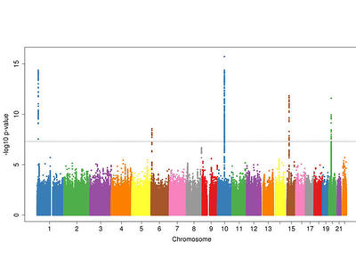 manhattan plot showing data from GWAS of Ewing Sarcoma