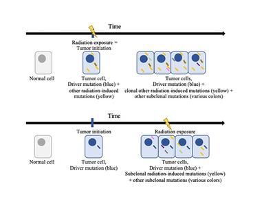 Distinctive molecular features of radiation-induced thyroid cancers