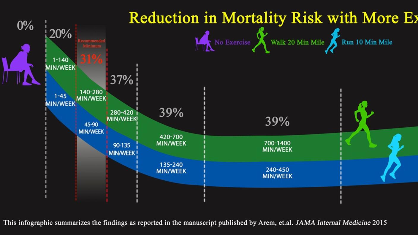 Reduction in Mortality Risk with More Exercise infographic that summarizes the findings reported in the manuscript published by Arem, et al. JAMA Internal Medicine 2015.