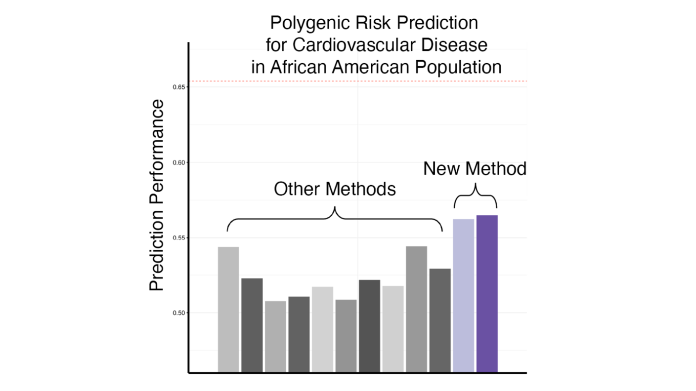 Graph showing prediction performance for different methods of polygenic risk prediction for cardiovascular disease in African American population. The new method has higher prediction performance than the other methods.. 