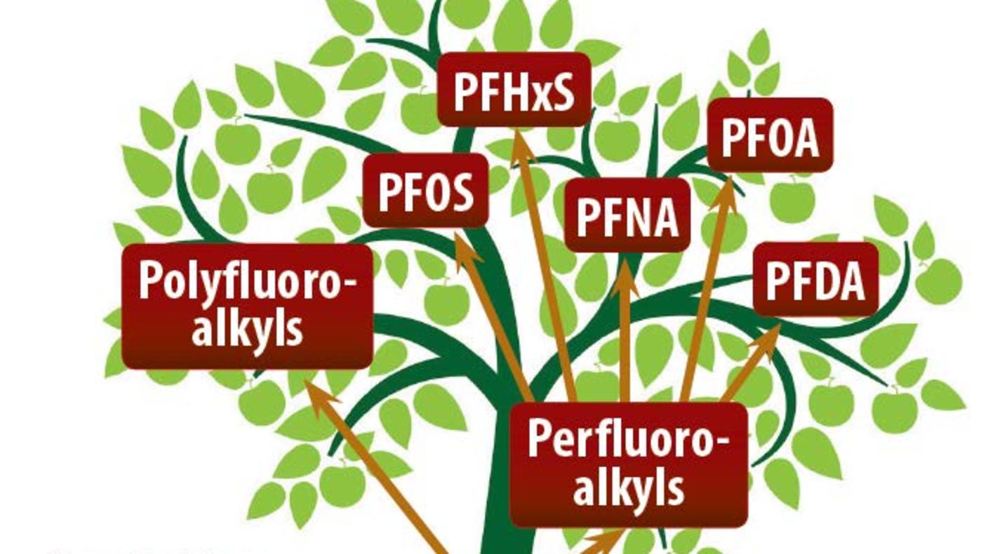 cartoon graphic showing Per- and polyfluoroalkyl Substances