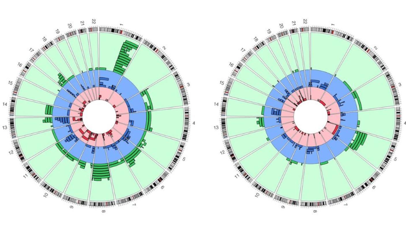 Circos plots of detected mosaic chromosomal alterations and their genomic location.