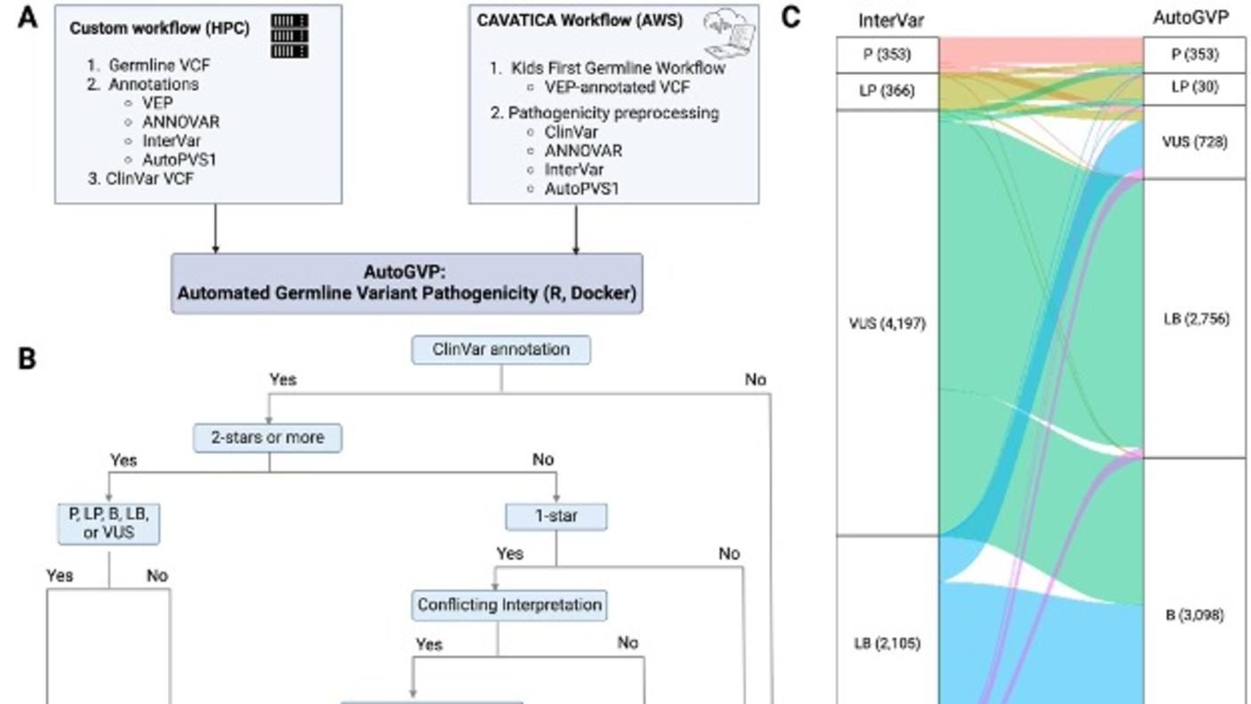 Flow diagram of AutoGVP. (A) Required input files for custom or CAVATICA workflow. (B) Variant classification method decision tree. (C) Alluvial plot showing how InterVar classification changes in AutoGVP.