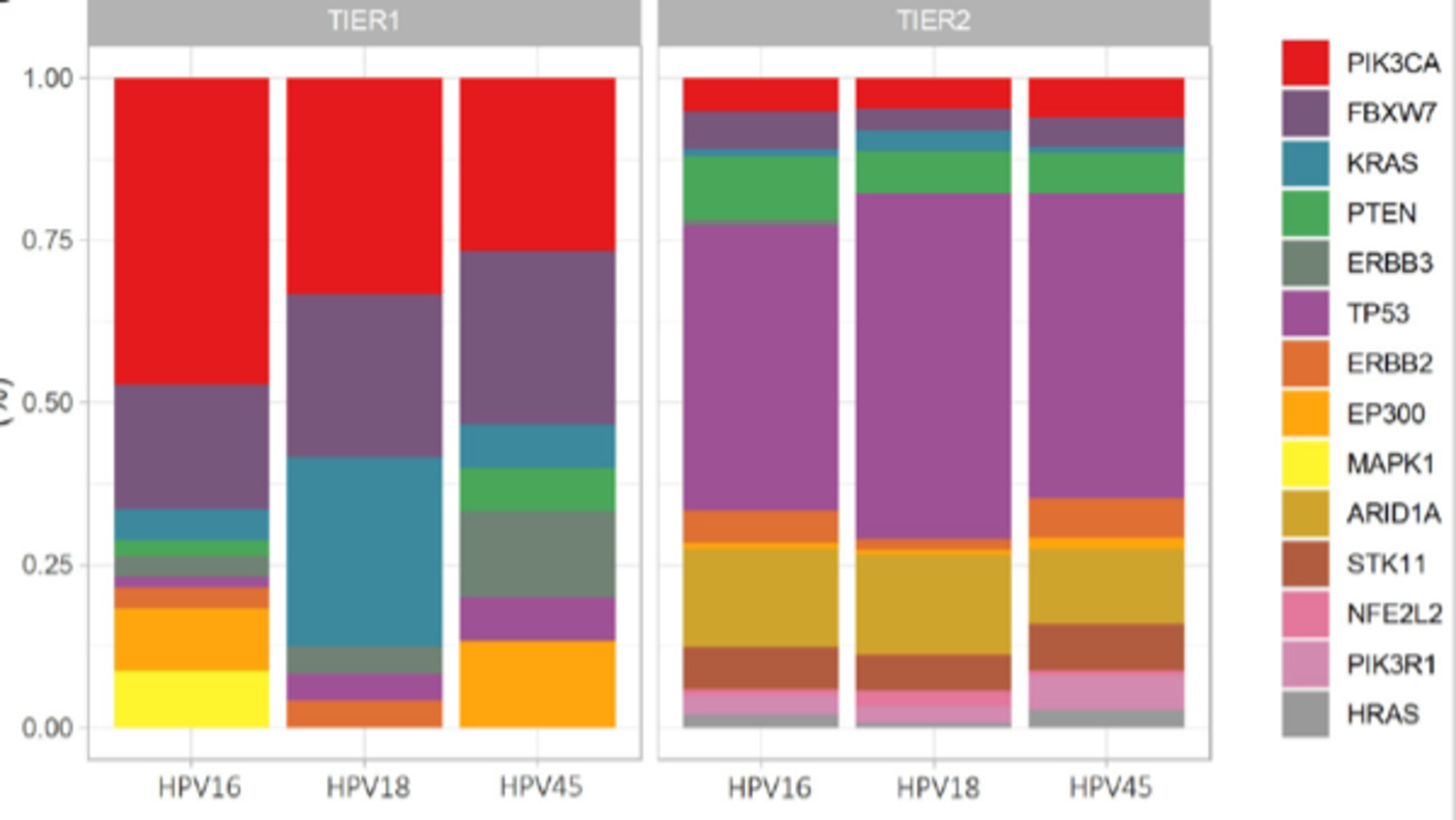 a series of colorful bar charts illustrating the findings from the paper