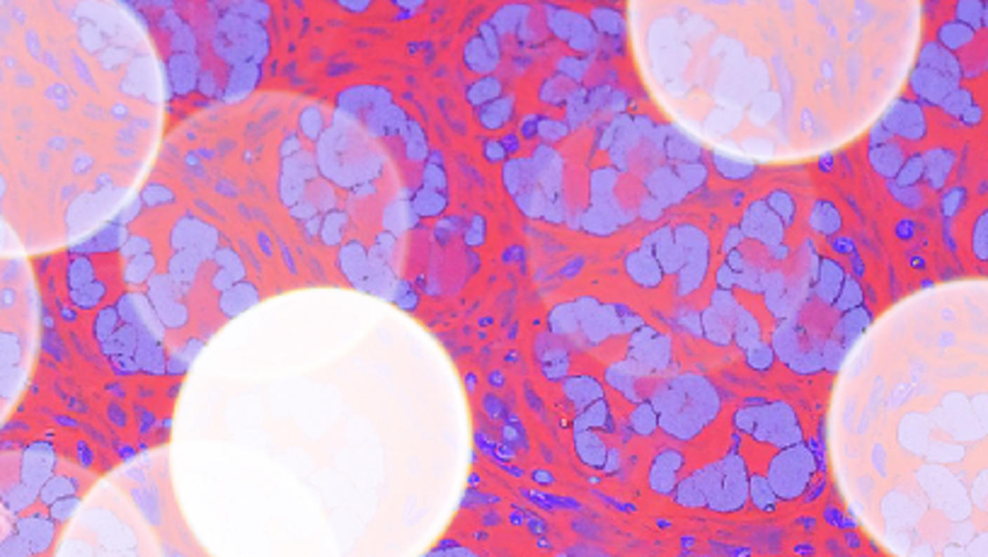 Abstract radiologic, microscopic image of computational pathology