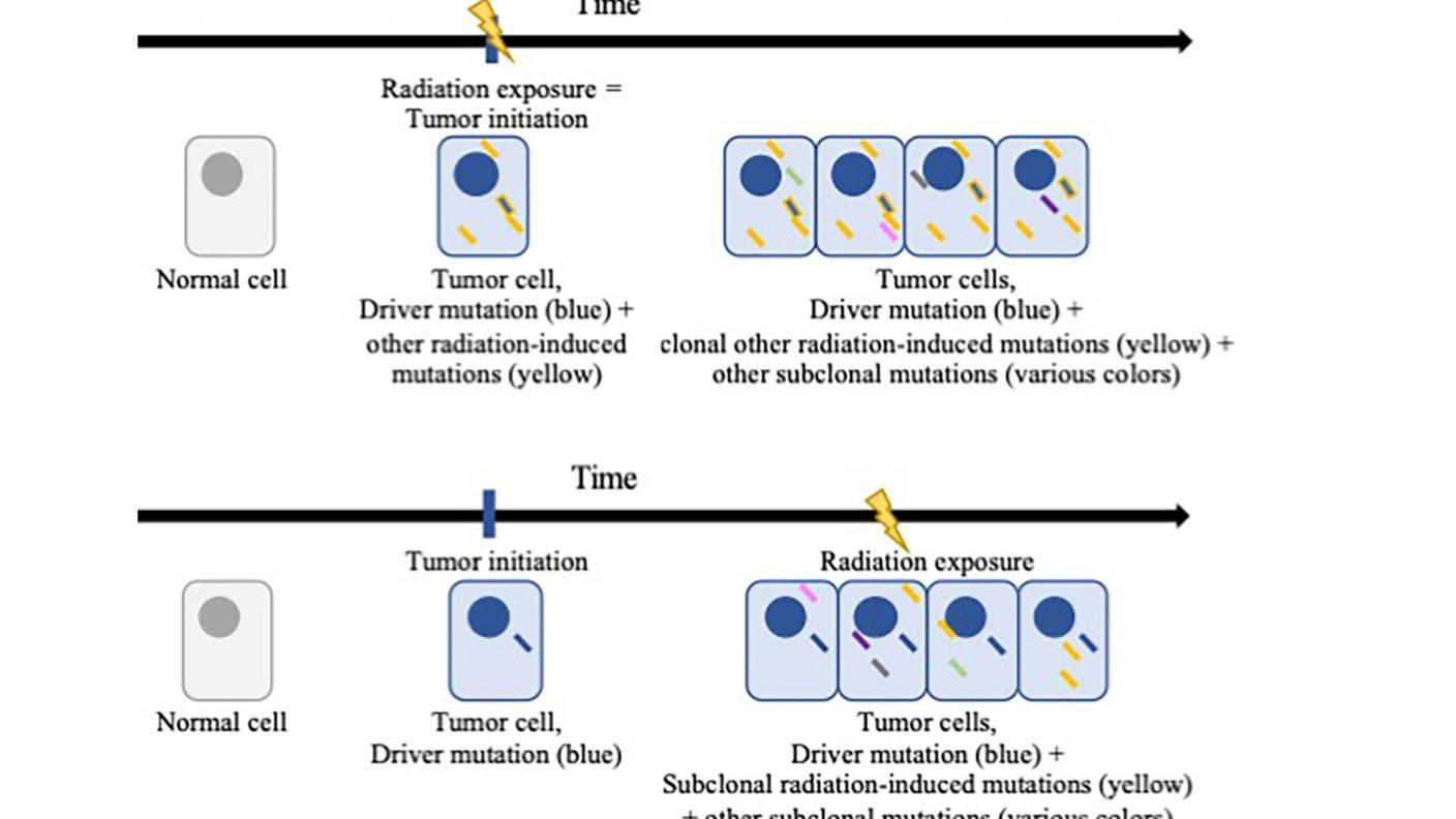 Distinctive molecular features of radiation-induced thyroid cancers