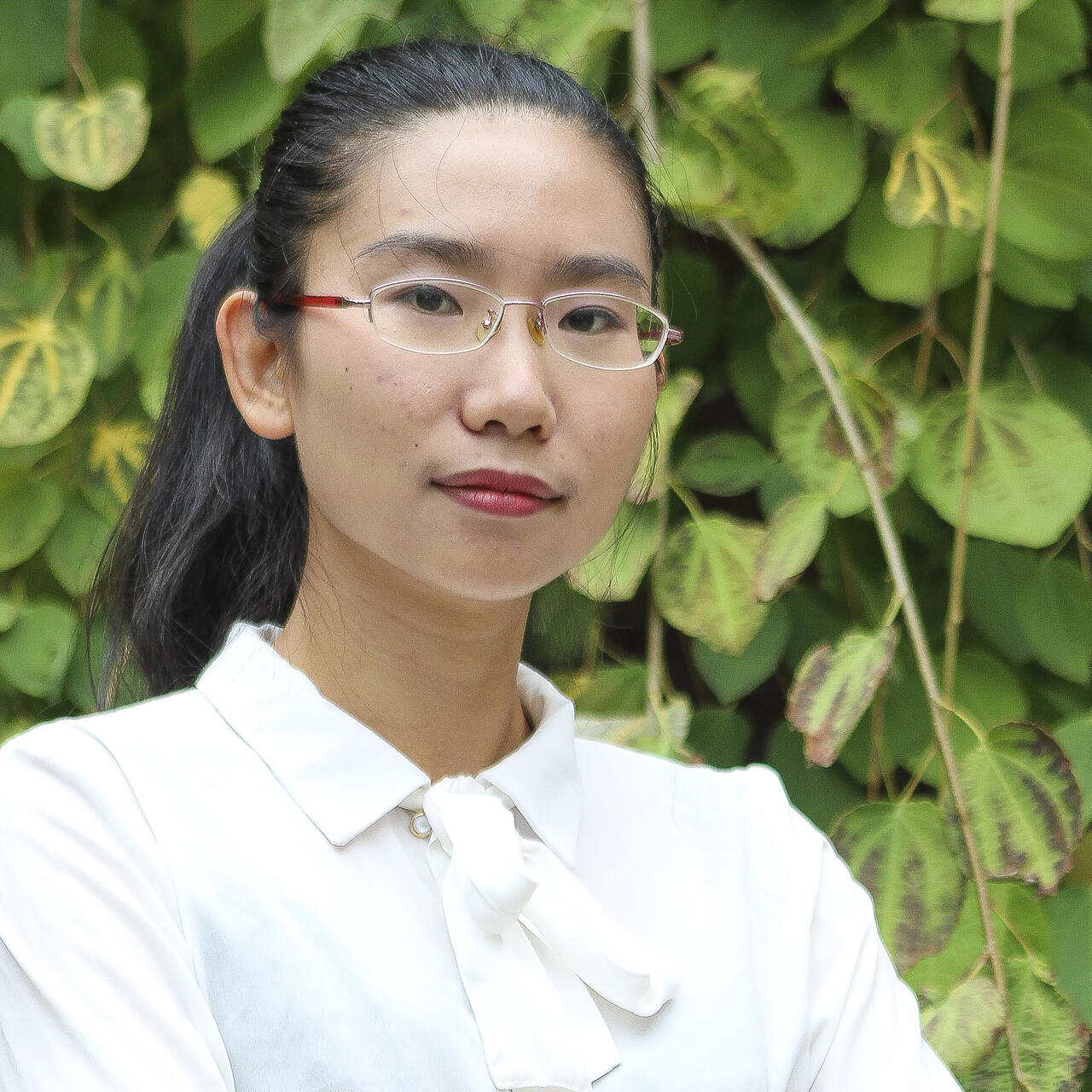 Shuai Xie