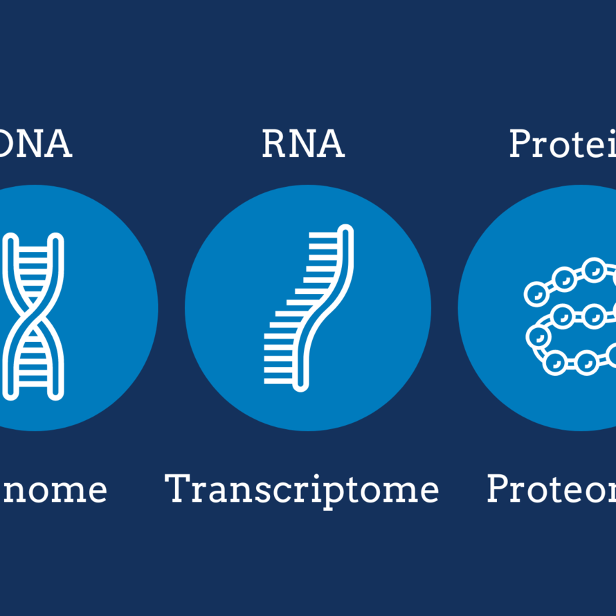 Graphic showing cartoons of DNA, RNA, and protein labeled with their corresponding -ome: genome, transcriptome, proteome.