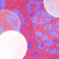 Abstract radiologic, microscopic image of computational pathology