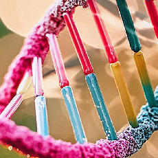 3D, blue and pink rendering of a double helix DNA strand with on a bright background