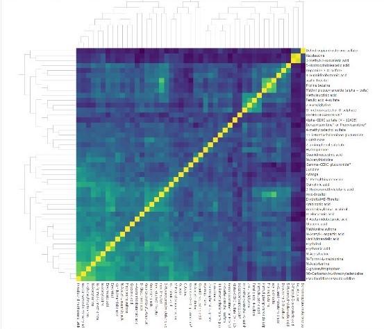 Heat map depicting metabolites related to age in sample file of COMETS Analytics.