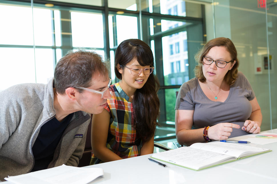 Two mentors and a trainee discussing data