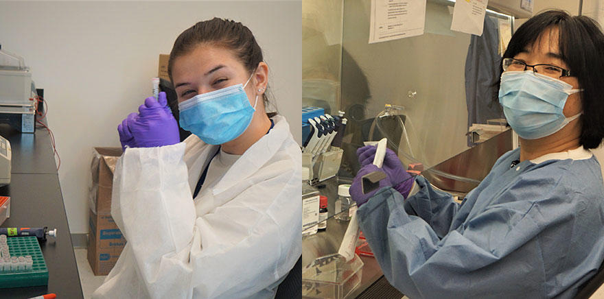 Nicole Rossi (left) and Hong Lou (right) working in the Dean lab.