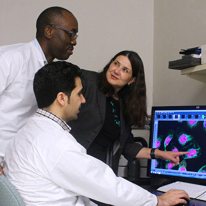 Olesegun, Rouf, and Dr. Prokunina-Olsson at work in front of a computer monitor