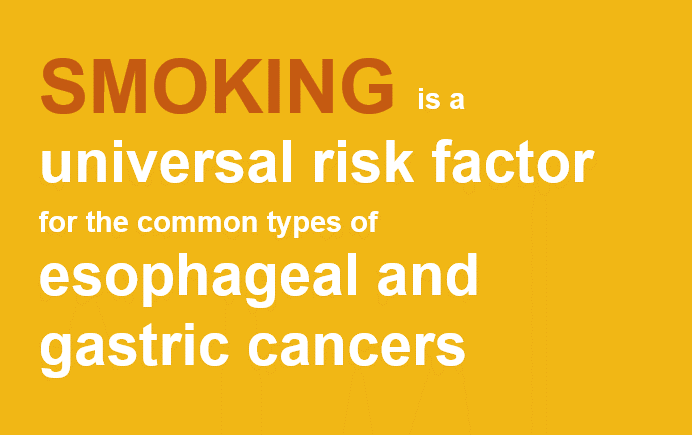 Smoking is a universal risk factor for the common types of esophageal and gastric cancer