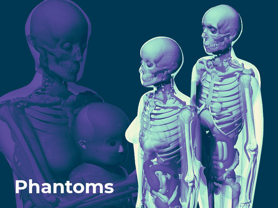 Phantoms text on top of images of different body shapes that are see-through with bones and organs visible