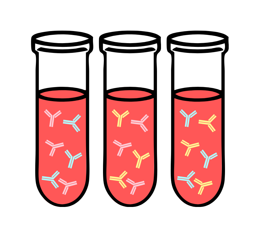 Three cartoon test tubes filled with blood containing depictions of different colored antibodies. 