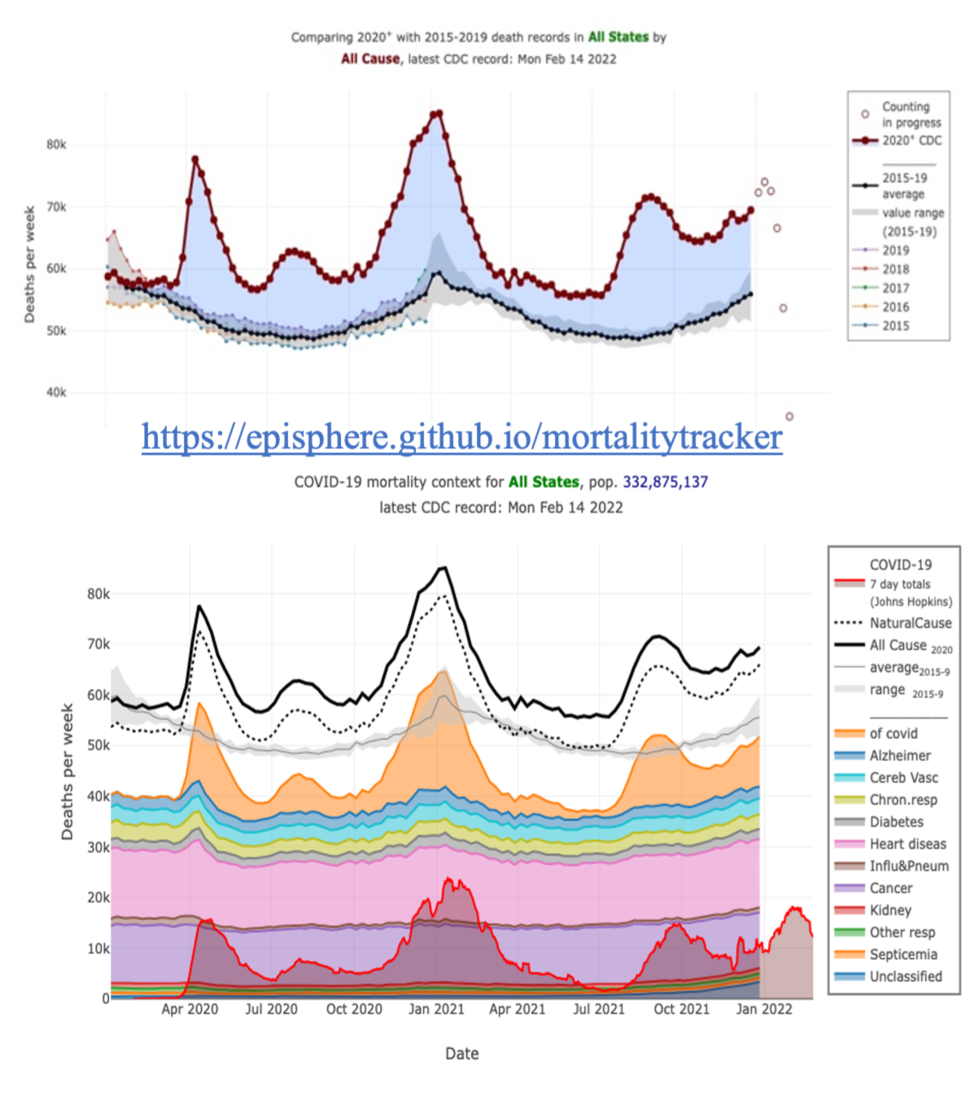 Screenshots from the COVID-19 Mortality Tracker show a visualization of all cause mortality and separated by cause during the COVID-19 pandemic. 