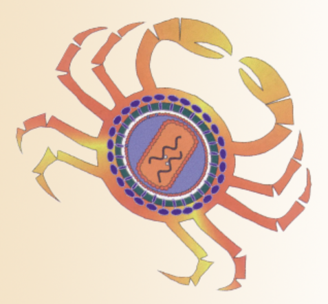 red and yellow graphically illustrated crab with DNA pictured inside