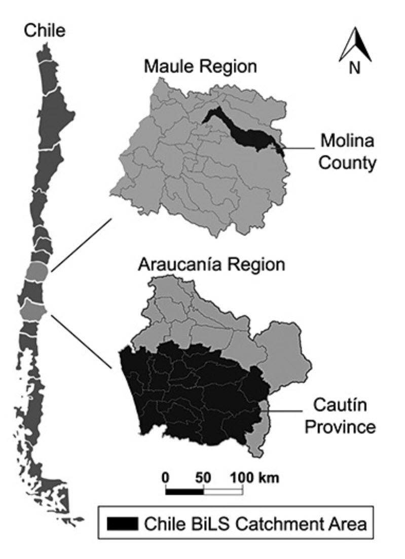 The Chile BiLS catchment area includes Molina County in the Maule Region and Cautin Province in the Araucania Region.