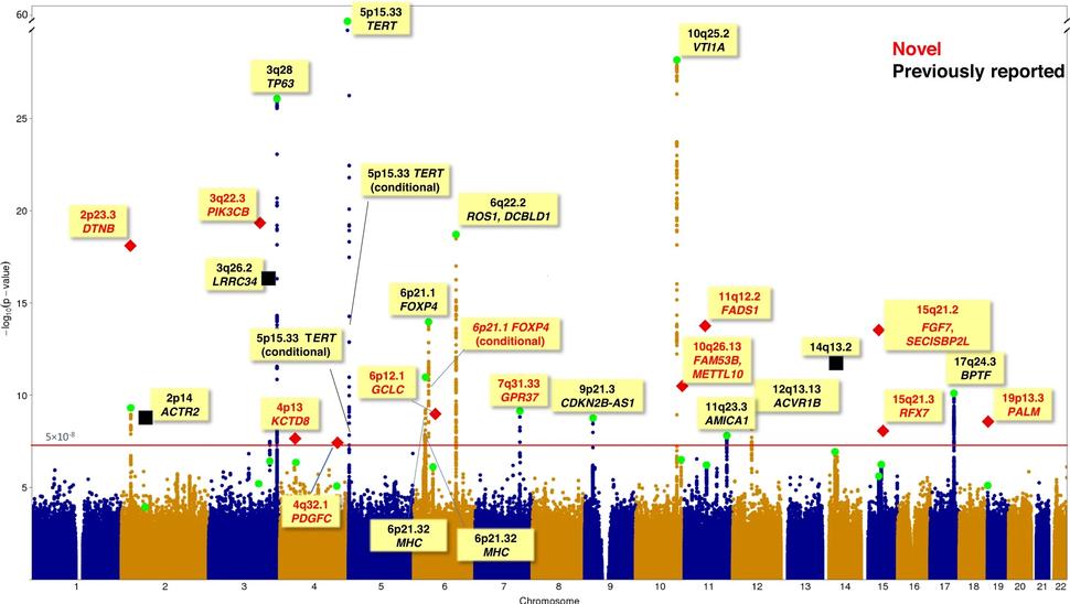 A Manhattan plot showing GWAS meta-analysis of lung adenocarcinoma in East Asians.
