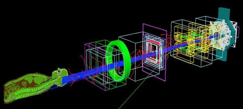 graphic showing dosimetry for patients receiving proton therapy